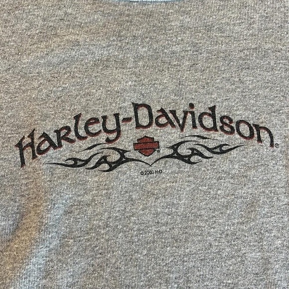 Vintage 90s Harley Davidson Roswell NM Long Sleeve Tee Womens Large Gray Fitted - Picture 5 of 10